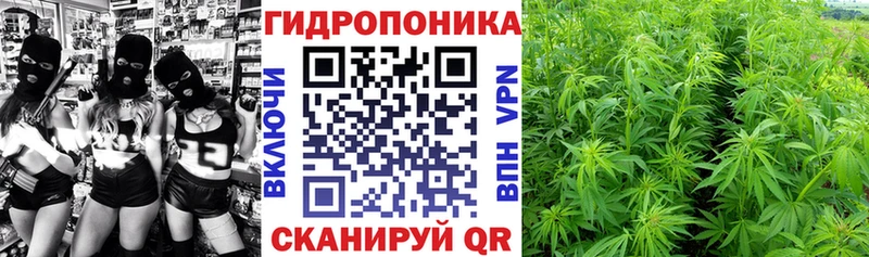А ПВП Саки