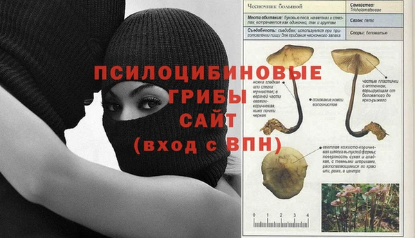 трава Киренск