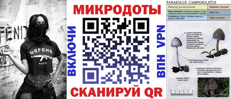 Псилоцибиновые грибы Cubensis Купить где Саки