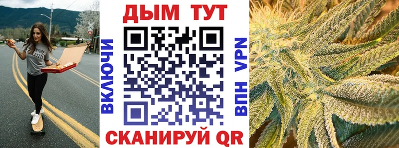 Купить где  Саки  Каннабис семена 